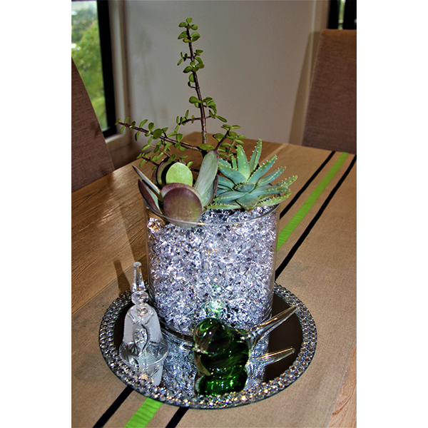 Living Jade, Aloe & FlapJack Succulent DIY Kit